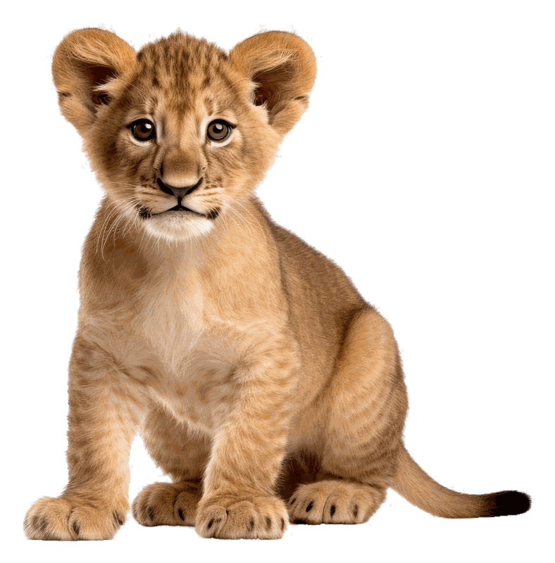 A lion cub, the animal the club is named for